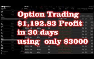 $1,192.83 in 30 days Option Trading – Using $3000