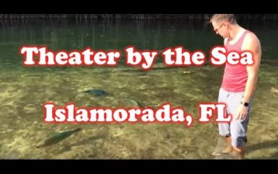 Theater by the Sea Review – Islamorada, FL